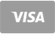 Visa betalingskort ikon